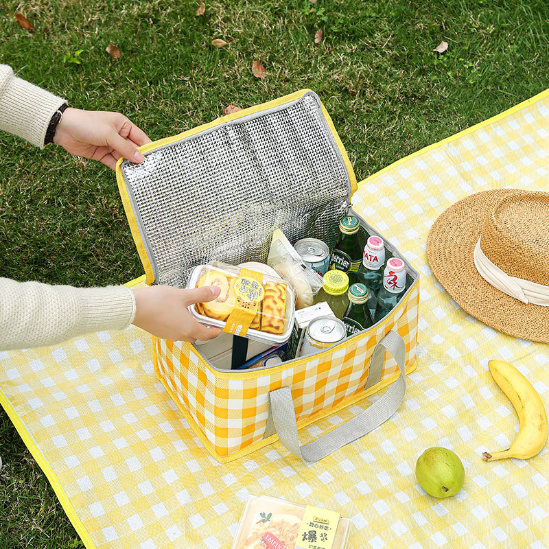 Large Capacity Insulated Picni - Food Storage Hiking recension och pris