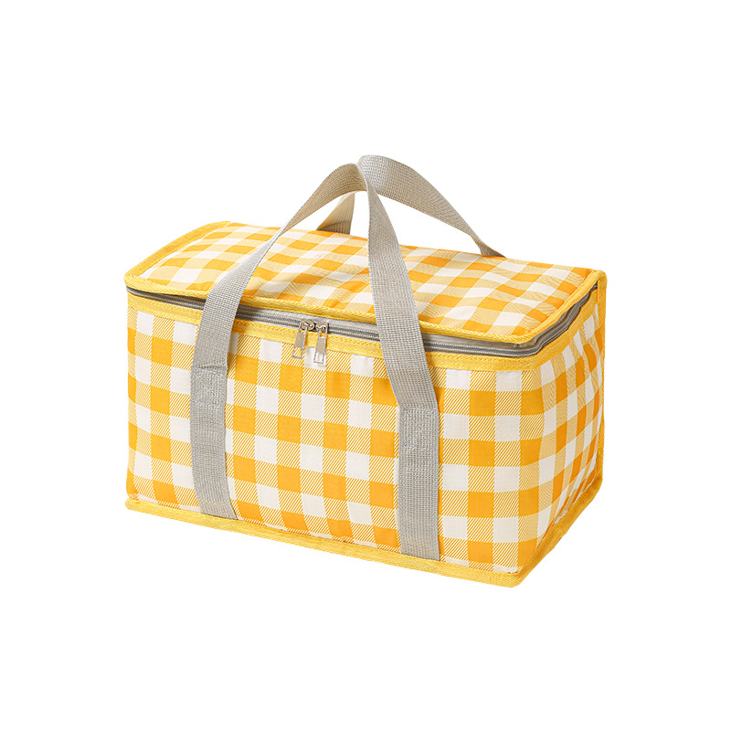 Large Capacity Insulated Picni - Food Storage Hiking recension och pris