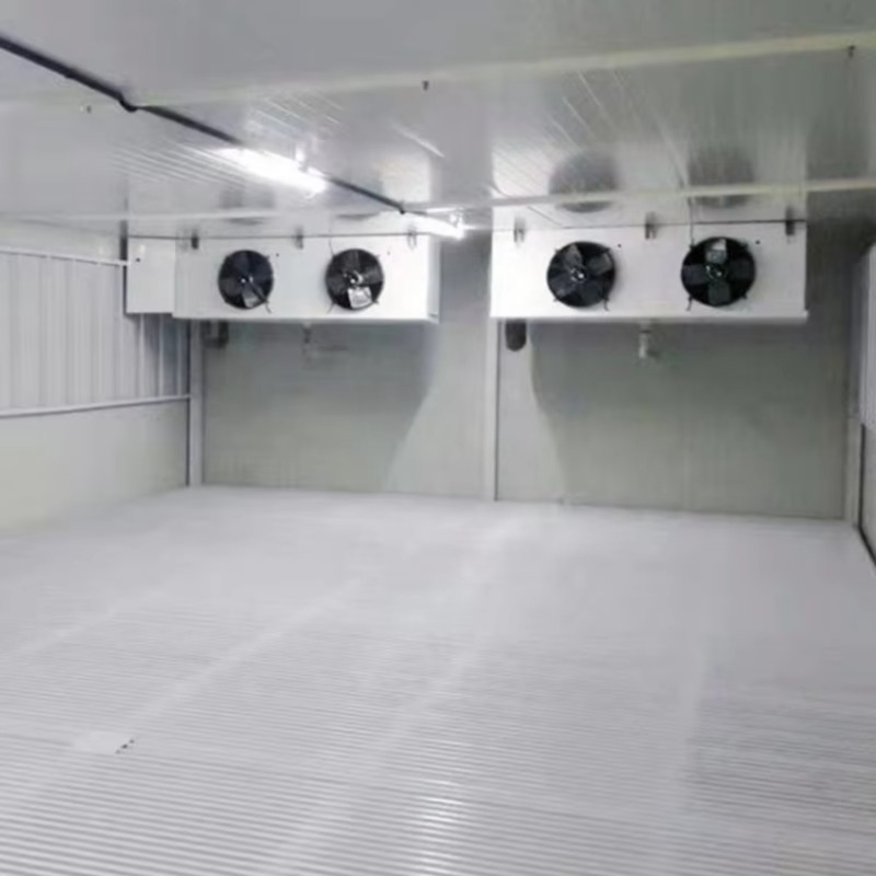 Walk In Freezer Cold Storage R - Food Storage For Refrigerator recension och pris