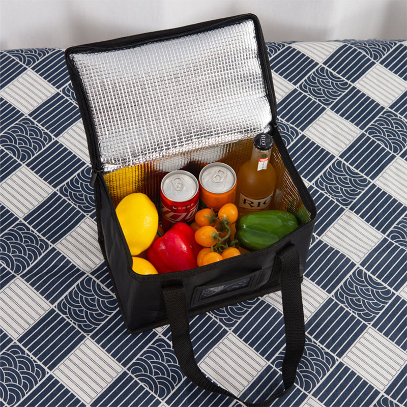 Insulated Thermal Cooler Bag T - Food Storage Hiking recension och pris