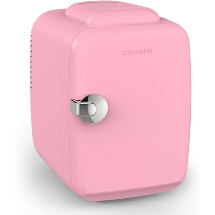 Mini Fridge, 4 Liter/6 Can Por - Portable Food Warmer recension och pris