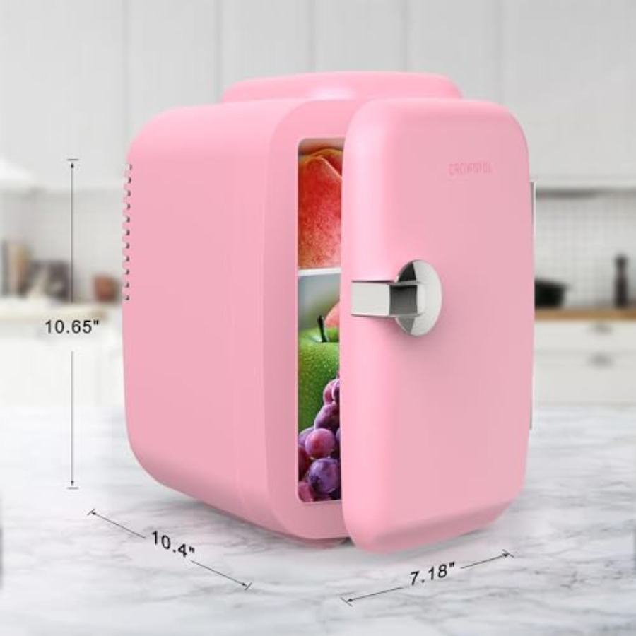 Mini Fridge, 4 Liter/6 Can Por - Portable Food Warmer recension och pris