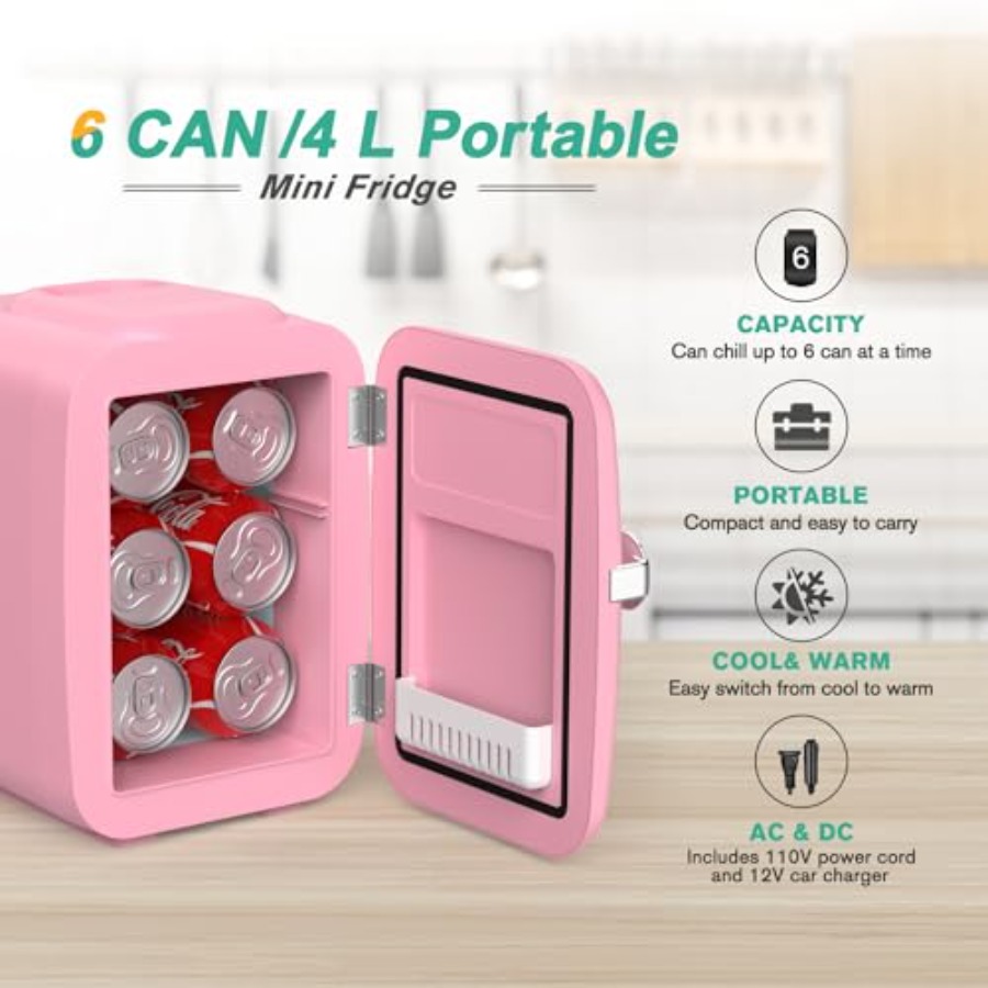 Mini Fridge, 4 Liter/6 Can Por - Portable Food Warmer recension och pris