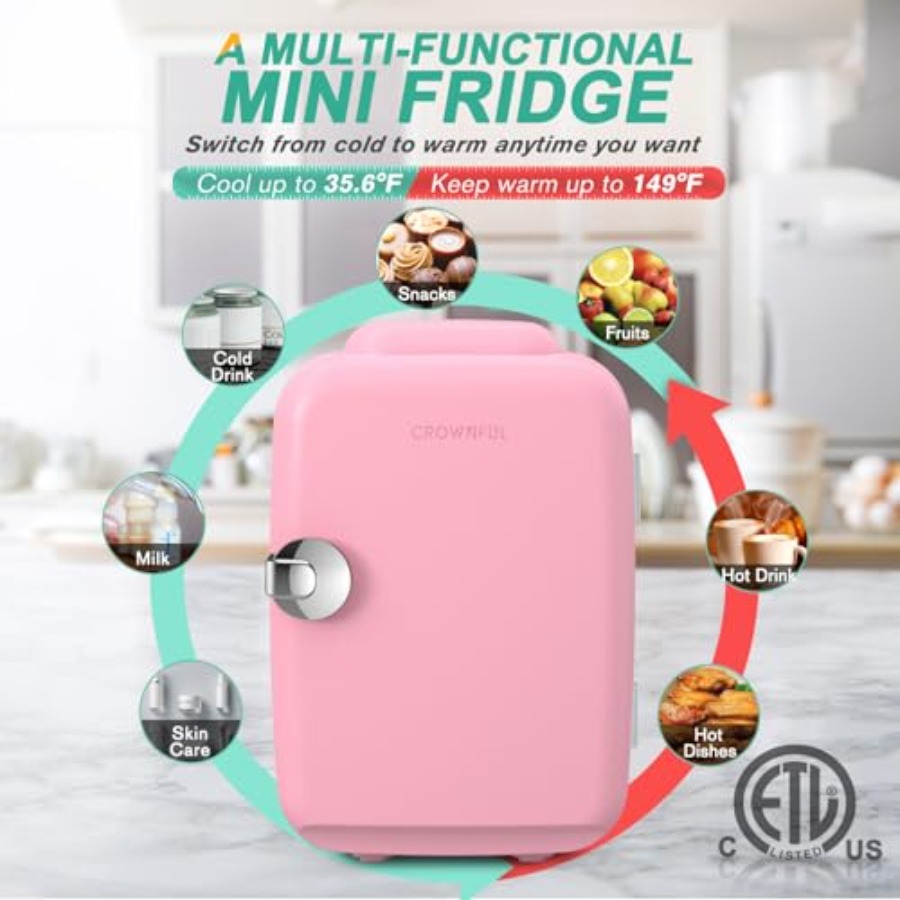Mini Fridge, 4 Liter/6 Can Por - Portable Food Warmer recension och pris
