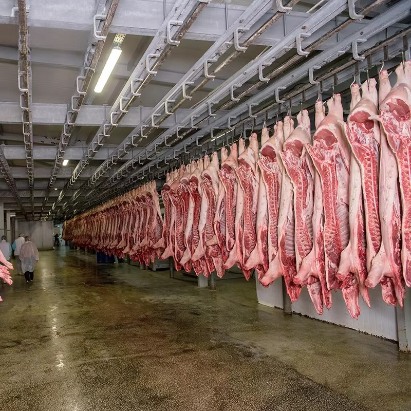 Cold Storage Room Slaughter Ho - Food Storage For Refrigerator recension och pris