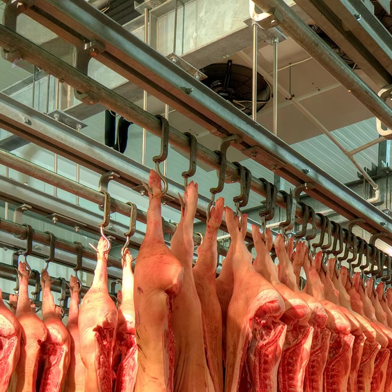 Cold Storage Room Slaughter Ho - Food Storage For Refrigerator recension och pris