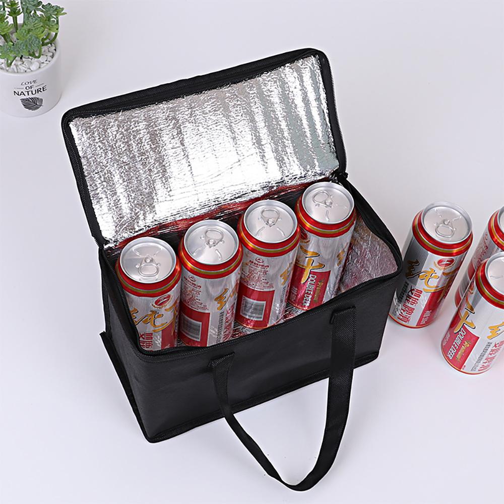 Portable Lunch Cooler Bag Fold - Food Storage Hiking recension och pris