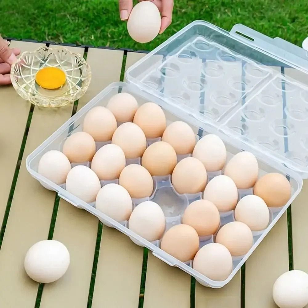 Plastic Egg Storage Box Anti-c - Food Storage Hiking recension och pris